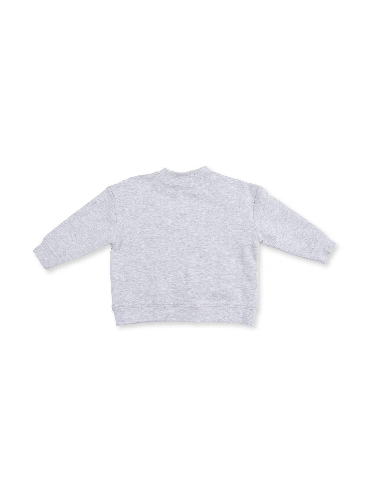 Gray sweatshirt viewed from the back, featuring long sleeves and a relaxed fit. Ideal for casual wear.