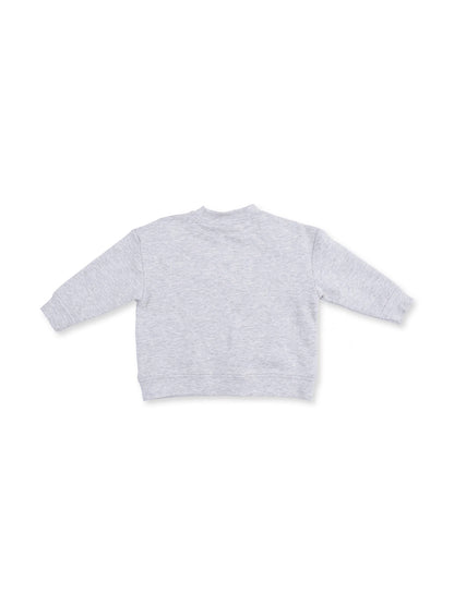 Gray sweatshirt viewed from the back, featuring long sleeves and a relaxed fit. Ideal for casual wear.