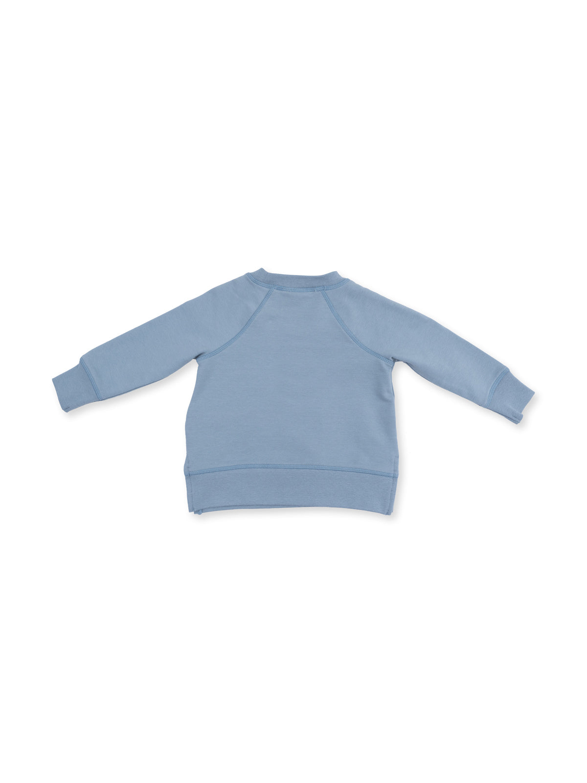 Raglan Sweatshirt, Blue Horse Head